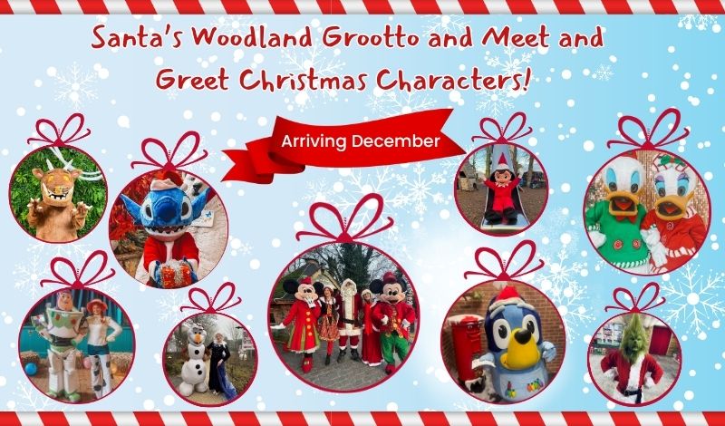 Santa's Woodland Grotto and Meet & Greet Christmas Characters article image